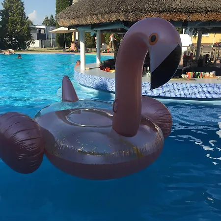 Art Gallery * シオーフォク